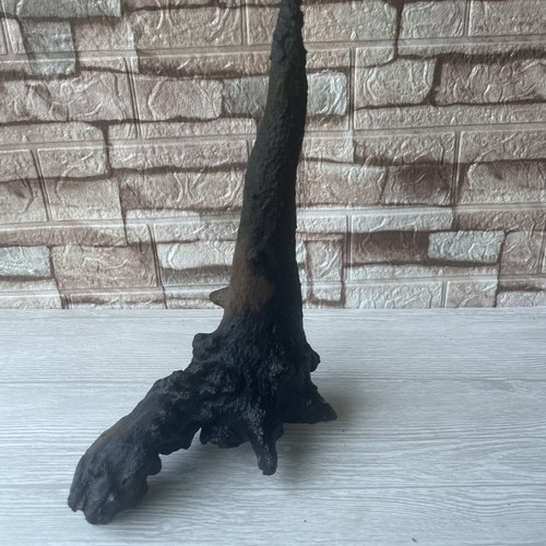 Bogwood driftwood fish - bogwood,