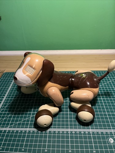 Bentley zoomer robot dog - bentley,