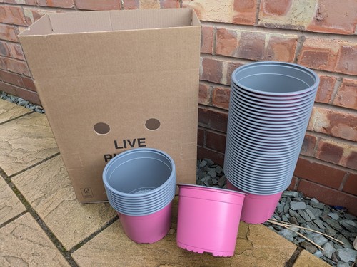 Plant pots new 3 litre - plant, pots,