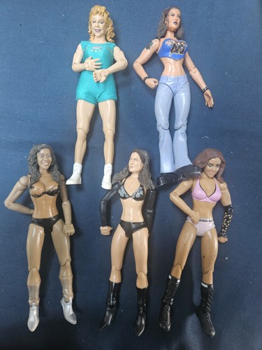 Wwe women bundle female divas - wwe,