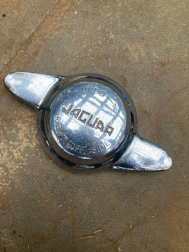 Genuine original jaguar type - jaguar,