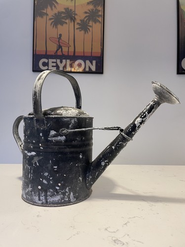 Vintage rose galvanised - vintage,