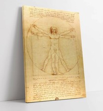 LEONARDO DA VINCI, VITRUVIAN