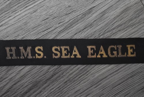 Sea eagle - sea,