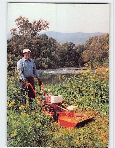 Postcard field bush - field, &