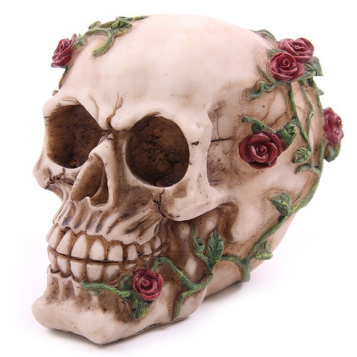 Skull with roses - skull,