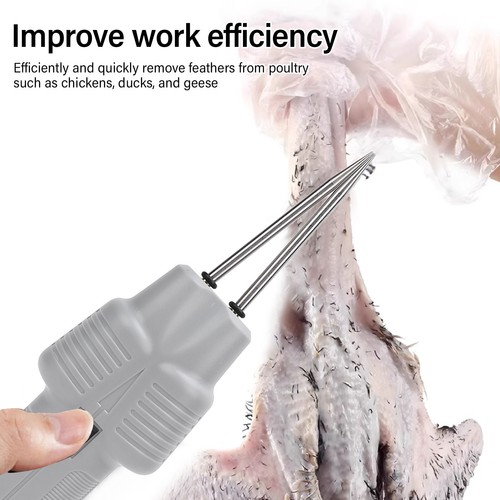 Electric chicken plucker - chicken,