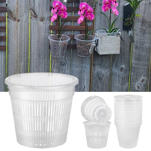 19cm clear orchid - 11/14/16/19cm,