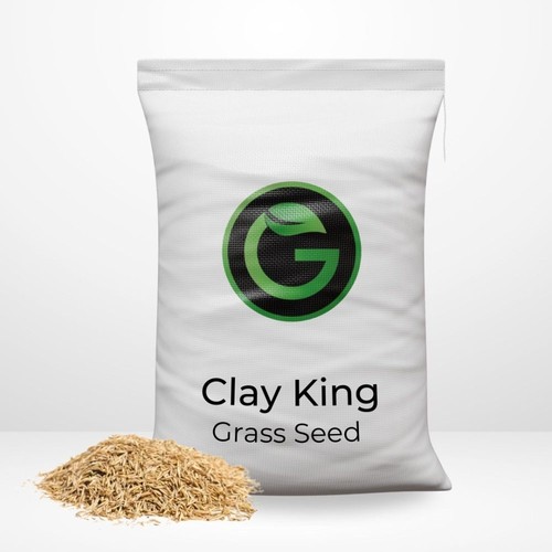 Clay king grass seed - grass, for