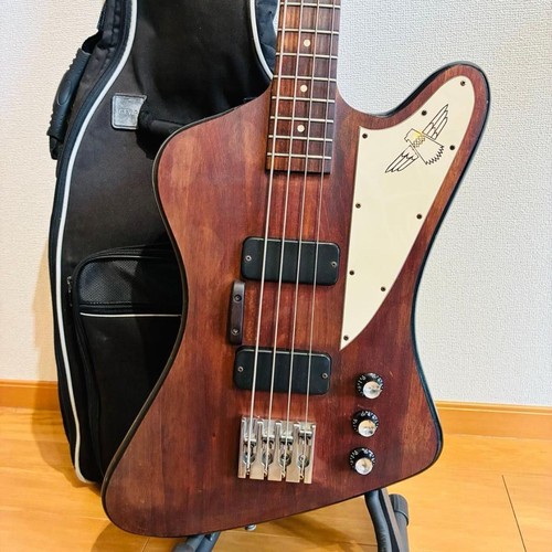 Gibson usa thunderbird - usa, studio