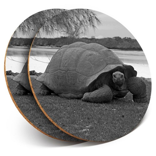 Coasters aldabra - bw,