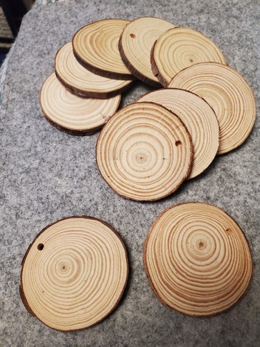 Natural wood slices - 10,