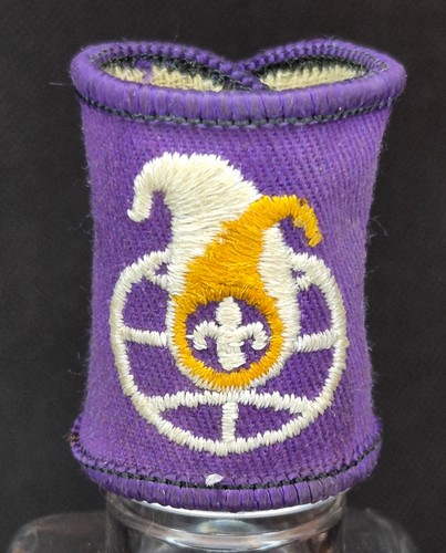Rare 1979 boy scout 15th - boy,