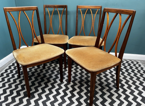 Mcm mid century plan back - century, x