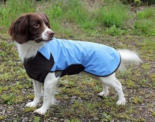 WEATHERMATE WATERPROOF DOG