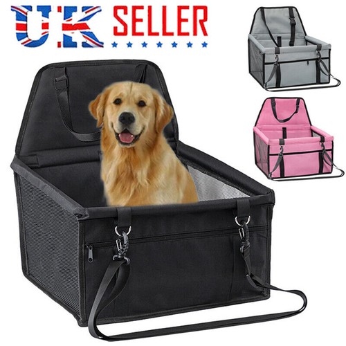Folding pet dog - dog, seat