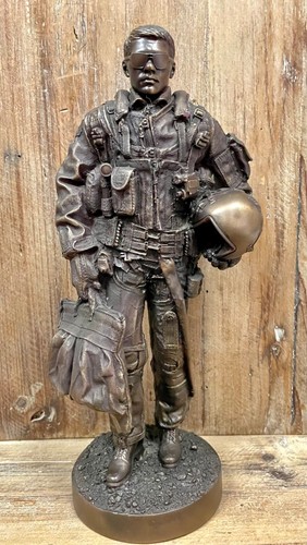Military soldier fighter pilot - fighter,