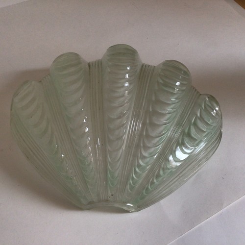 Vintage original clam shell - clam,