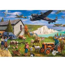 Falcon Flight Over Dover 1000