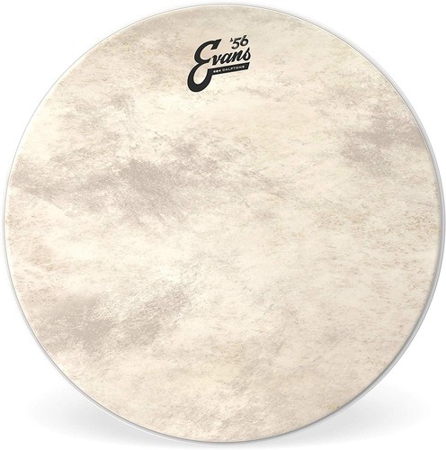 Evans eq4 calftone bass - 18",
