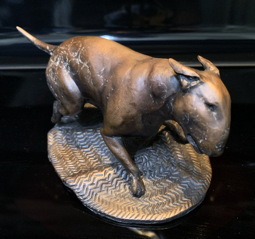 English bull terrier solid - bull,