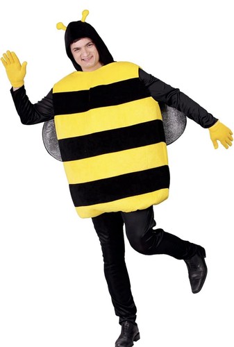 Bumblebee funny fancy dress - fancy,