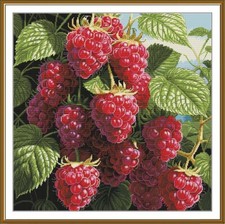DIY Needlepoint Counted Cross Stitch "Juicy raspberry!" Embroidery Kit Unprinted