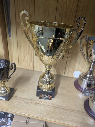 Large multisport trophy cup - multisport, 18