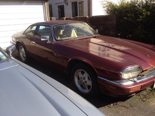 Jaguar xjs v12 facelift - jaguar,