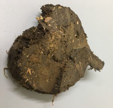 Genuine Ancient Irish Turf