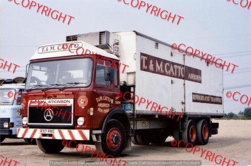 Truck photo m catto - &,
