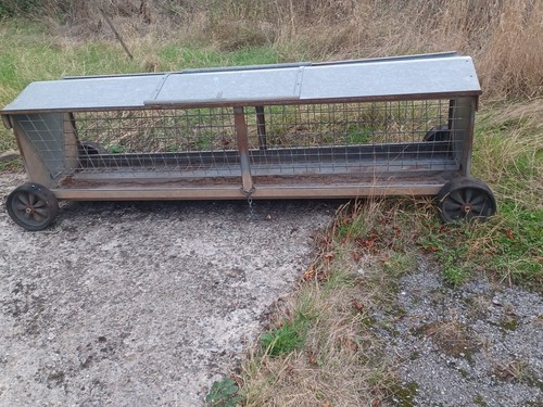 Sheep hayrack wheels iae - sheep, on