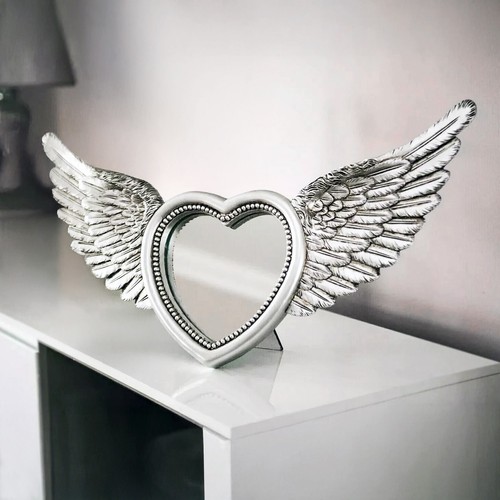 Silver wings mirror photo - wings,