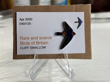 RSPB Interest CLIFF SWALLOW