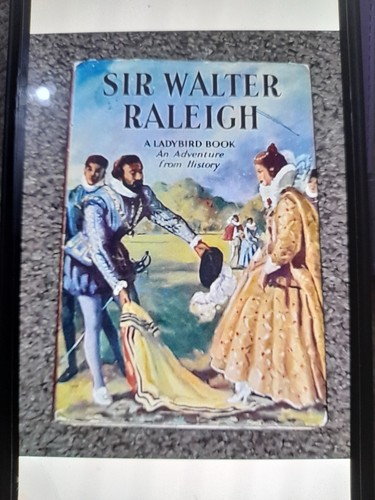 Vintage ladybird history - ladybird, book