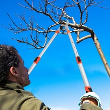 69-100cm Professional Long