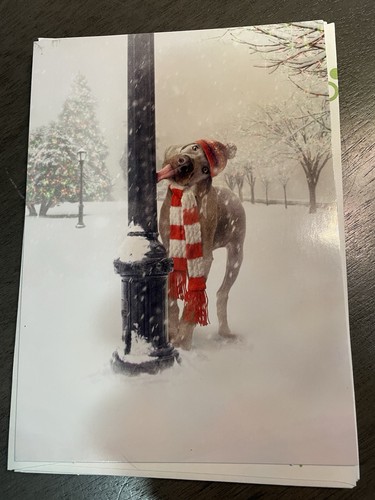 Avanti christmas holiday cards - christmas,