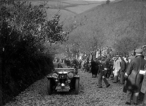 Magnette fox lands - mg,