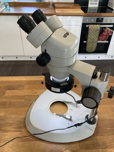 Radoptic stereo zoom - stereo,