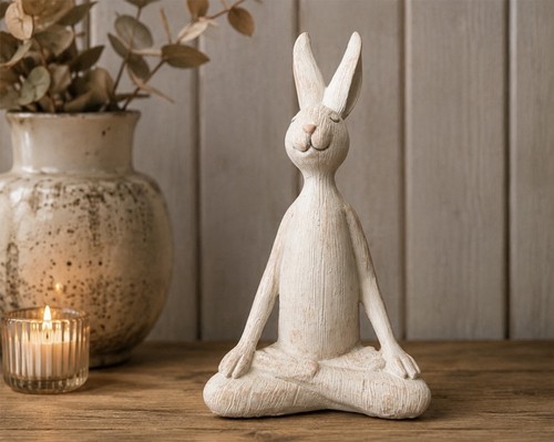 Yoga sitting zen rabbit - yoga,