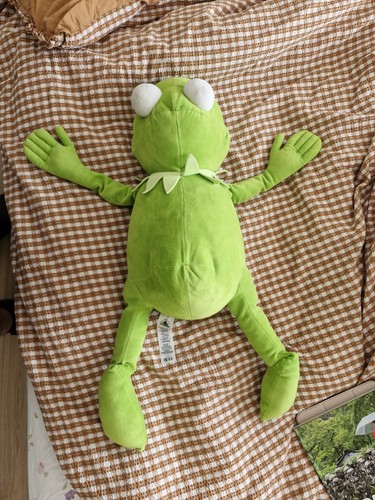 Kermit the frog - kermit, disney