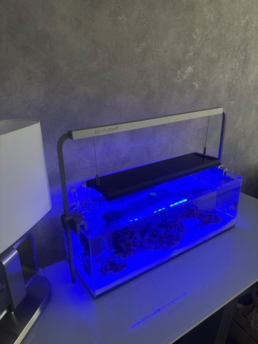 Skylight hyperbar reef - hyperbar,