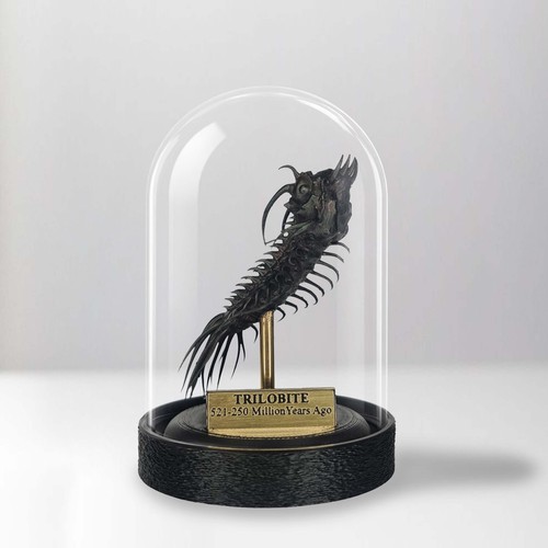 Trilobite replica fossil - replica,