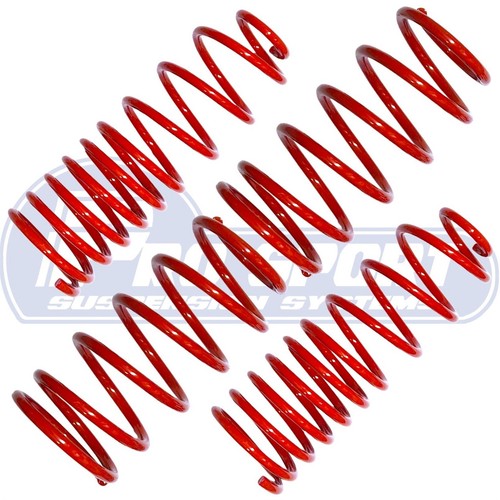 Pro sport lowering springs - sport,