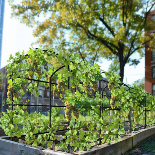 Large metal arch detachable - arch,