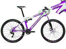 3 x PERSONALISED BIKE BICYCLE