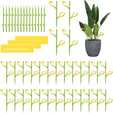 20X Sticky Fly Trap Paper