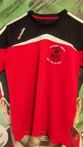 Swinford gaa neills - swinford,