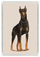 DOBERMAN BEAUTIFUL STANDING