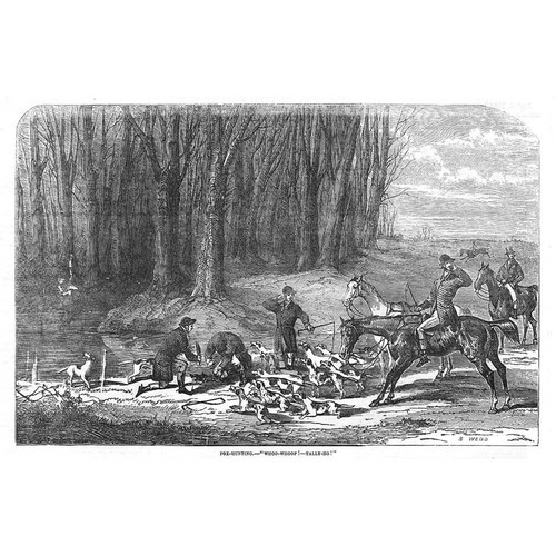 Fox hunting scene - scene,